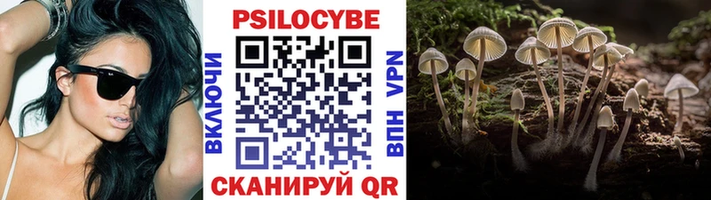 Псилоцибиновые грибы Magic Shrooms  где можно купить   darknet клад  Химки  mega ONION 